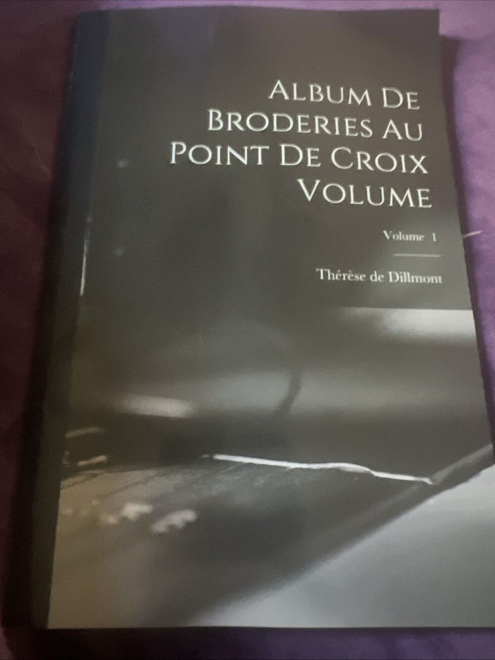 Album de Broderies Au Point de Croix Volume; Volume 1 by Thérèse de 1846-1890...